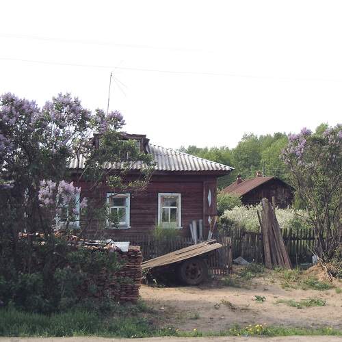 Photo #10303040