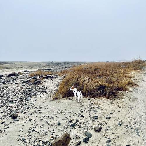 Photo #10303259
