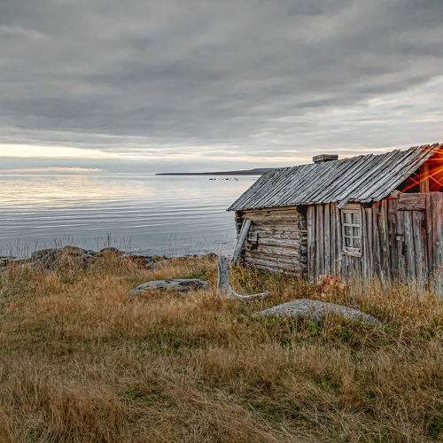 Photo #10303441