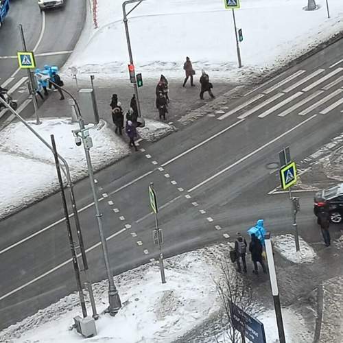 Photo #10303525