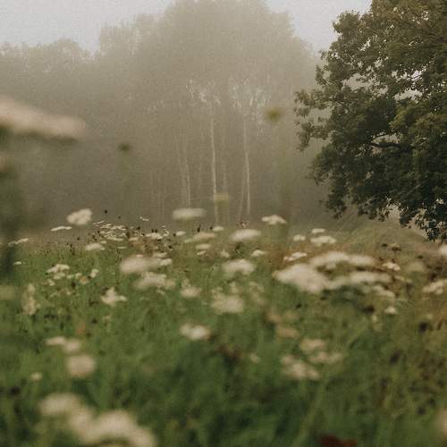 Photo #10303639