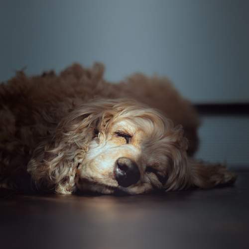 Photo #10303818