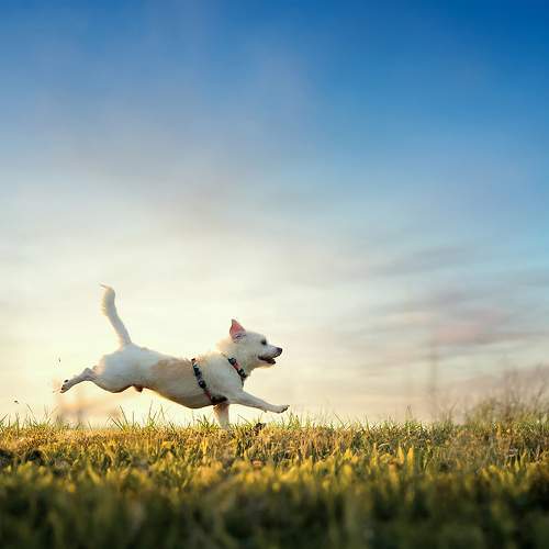 Photo #10303827