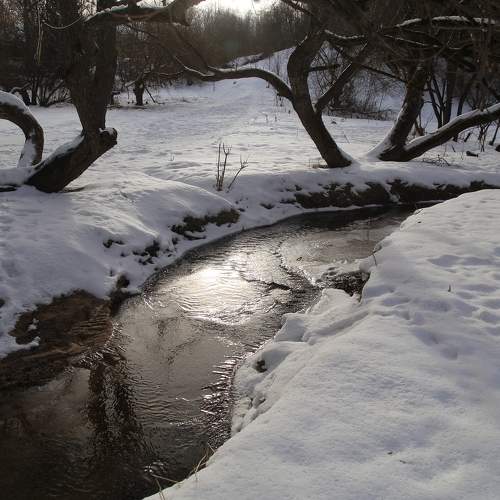 Photo #10303847