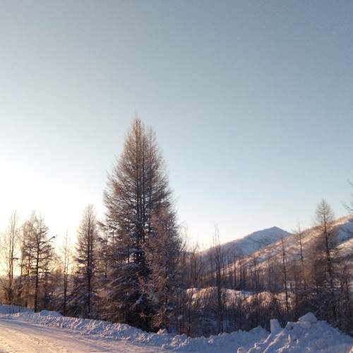 Photo #10303945