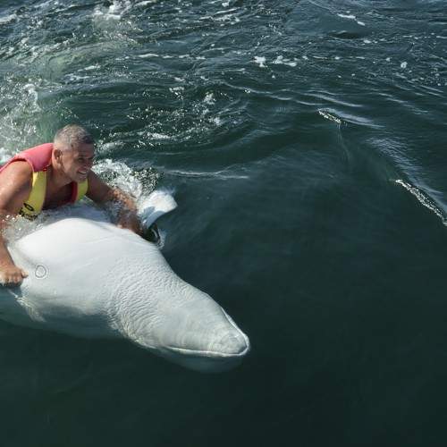 Photo #10304124