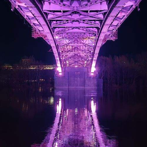 Photo #10304159