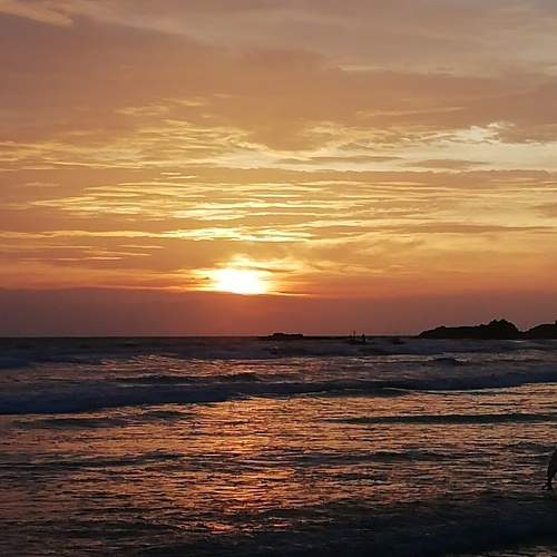 Photo #10304344