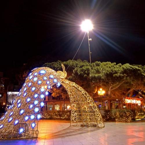 Photo #10304374
