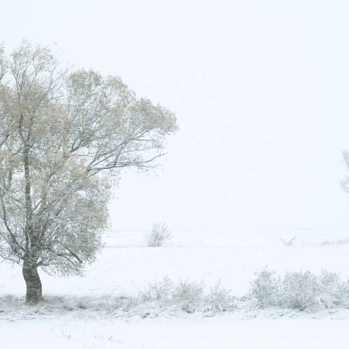Photo #10304409