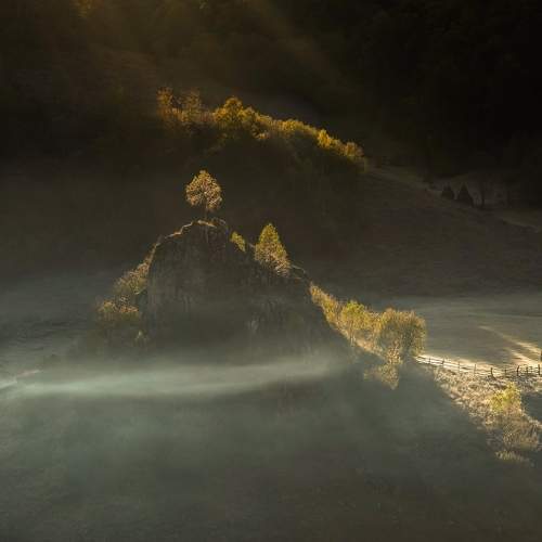 Photo #10304427