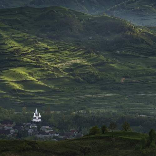 Photo #10304429