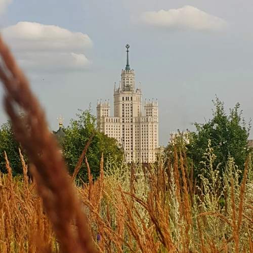 Photo #10304567