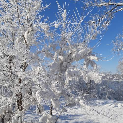 Photo #10304847