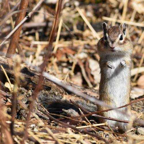 Photo #10305002
