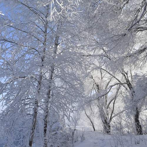 Photo #10305045