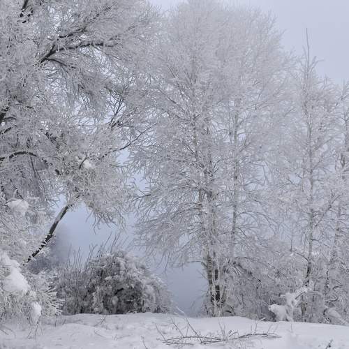 Photo #10305121
