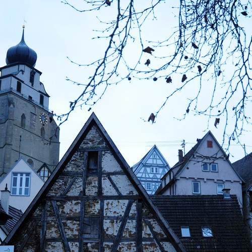 Photo #10305202