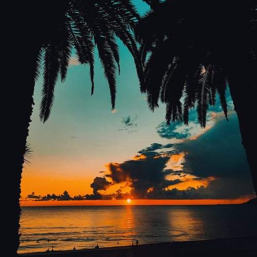 Photo #10305244