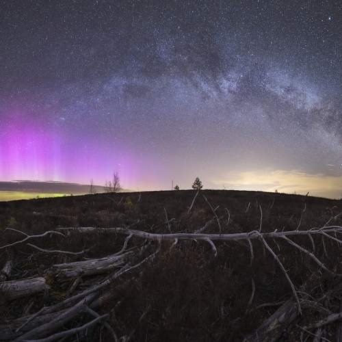 Photo #10305370