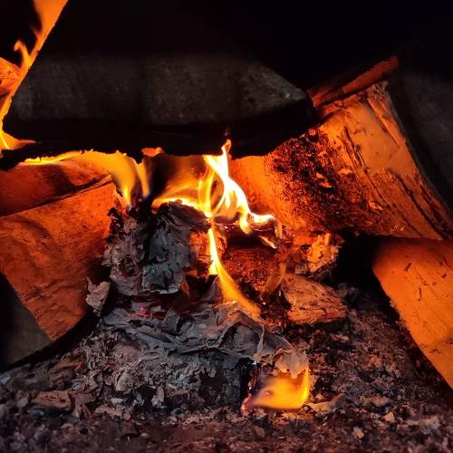 Photo #10305412