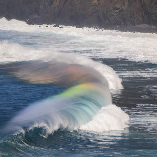 Photo #10305423