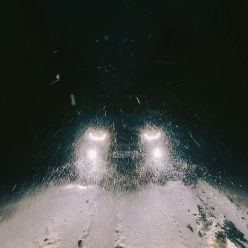Photo #10305435