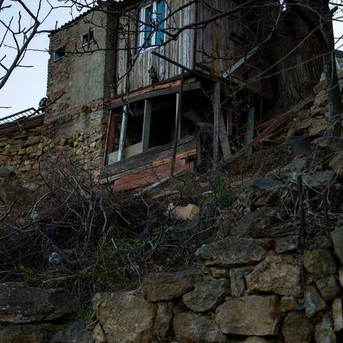 Photo #10305442