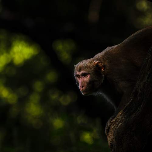 Photo #10305487