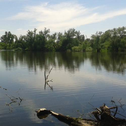 Photo #10305562