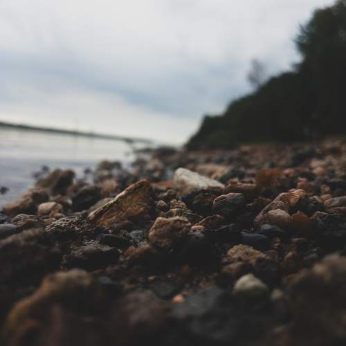 Photo #10305604