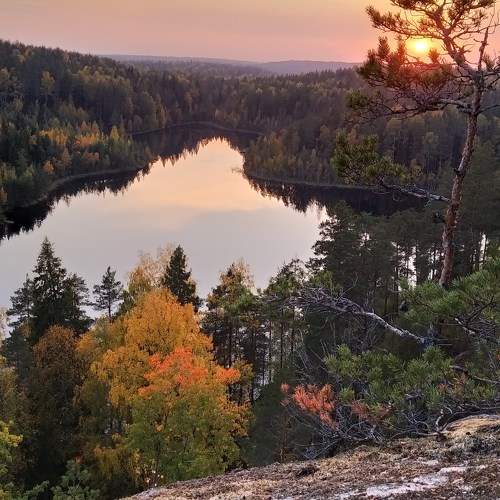 Photo #10305637
