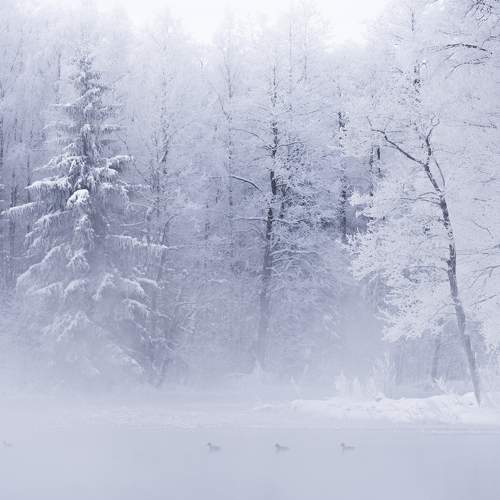 Photo #10305768