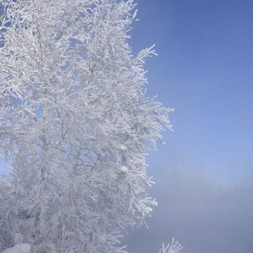 Photo #10305832
