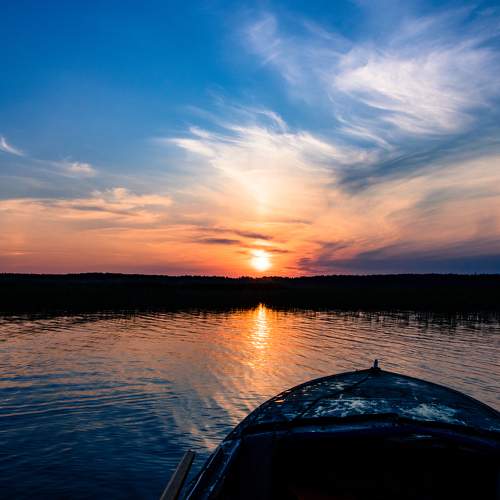 Photo #10306481