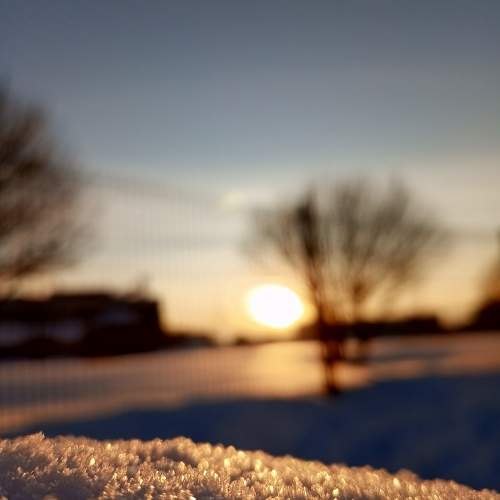 Photo #10306699