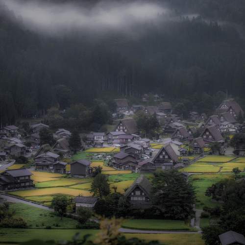 Photo #10306785