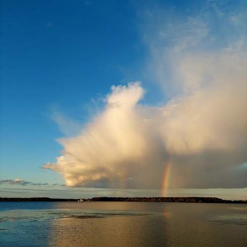 Photo #10306943