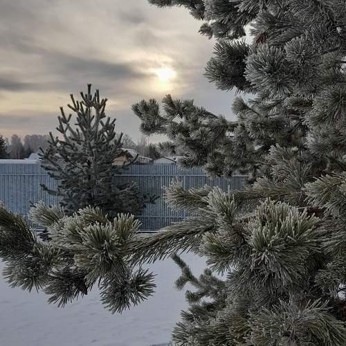 Photo #10306961