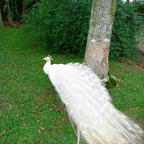 Photo #10306971