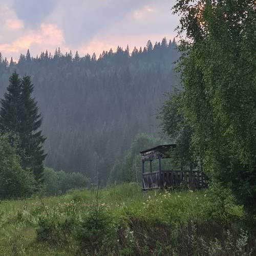 Photo #10306973