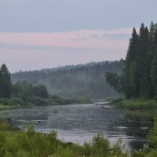 Photo #10306975