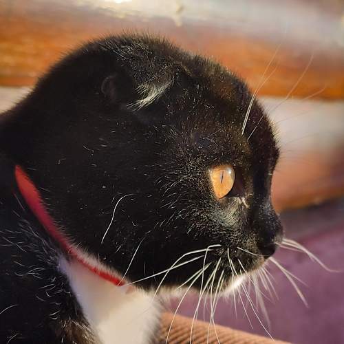 Photo #10307092