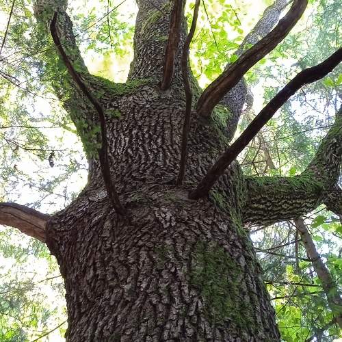 Photo #10307138