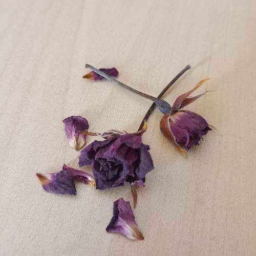 Photo #10307372
