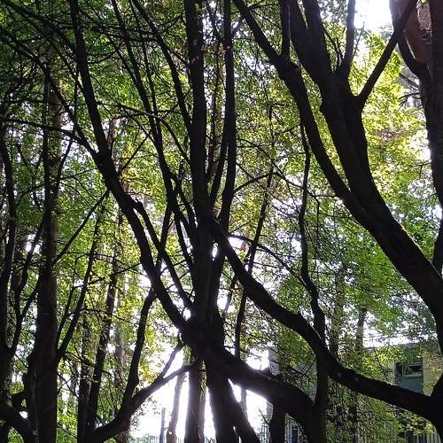 Photo #10307416