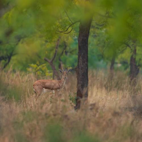 Фотография #10307498