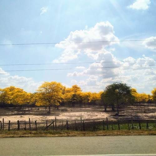 Photo #10307634