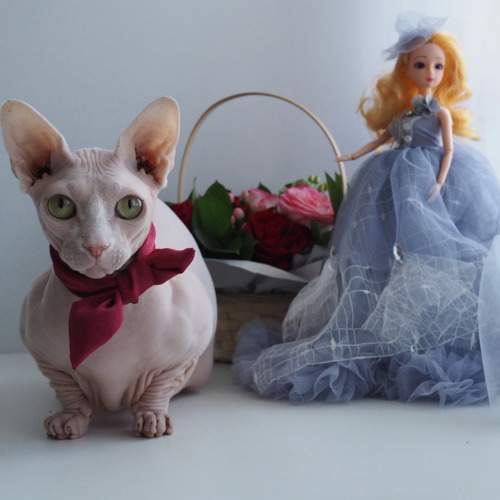 Photo #10308128