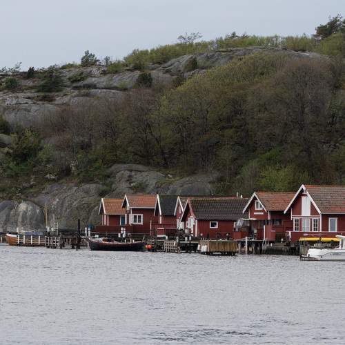 Photo #10308178